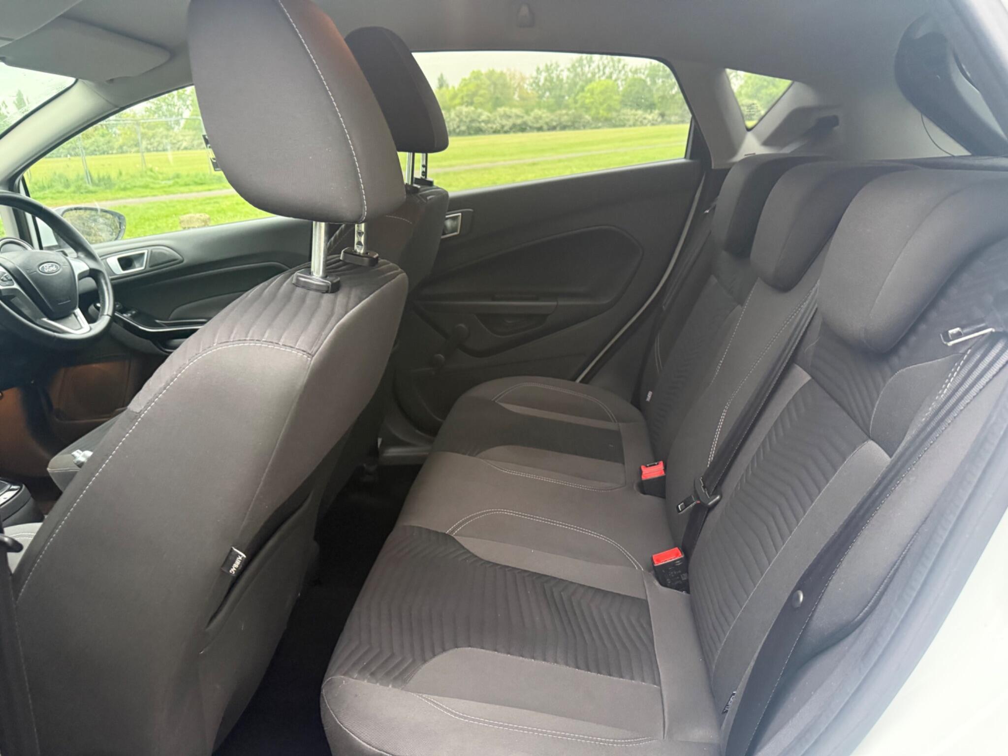 Seats Rear
